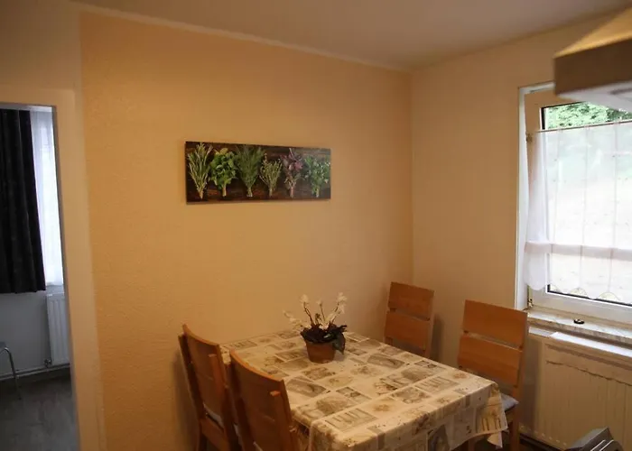 Julius 4 Daire Sankt Andreasberg